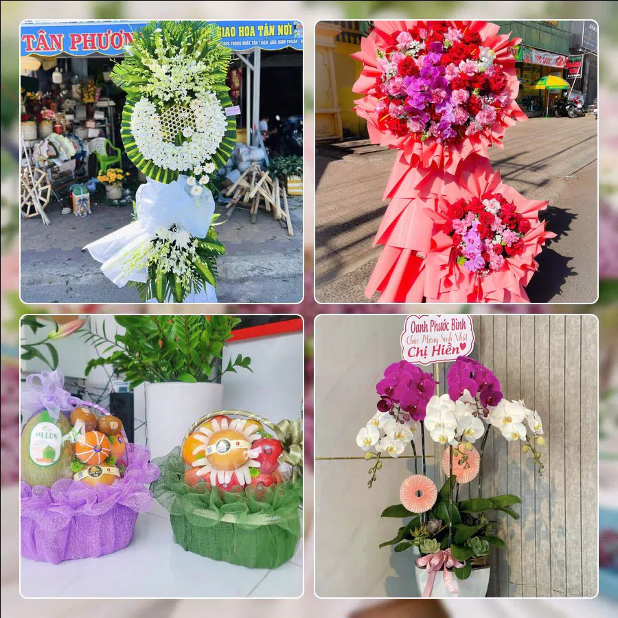 Mẫu hoa tươi cắm mới tại shop hoa Phường Cầu Ông Lãnh