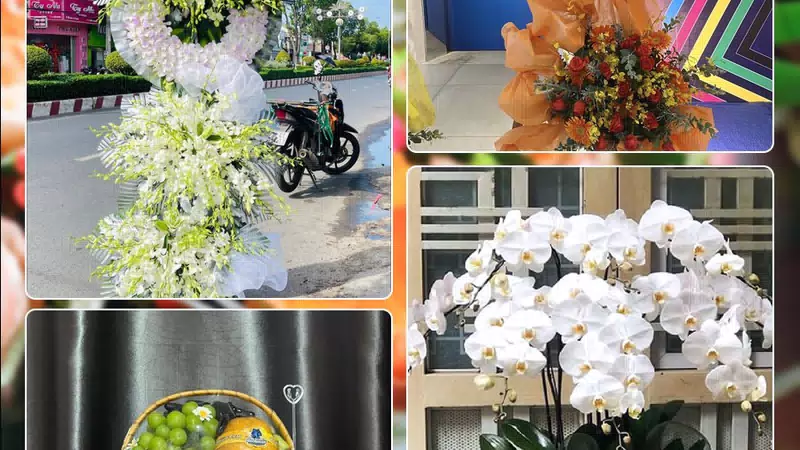 Shop Hoa Tươi Phường Xuân Phương - Thành phố Hà Nội