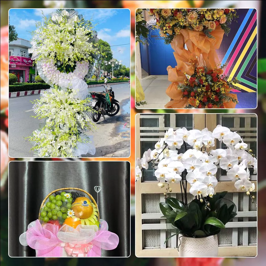 Shop Hoa Tươi Phường Xuân Phương - Thành phố Hà Nội