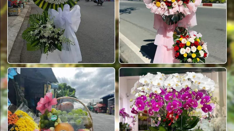 Shop Hoa Tươi Phường Tân Sơn Nhất - Thành phố Hồ Chí Minh