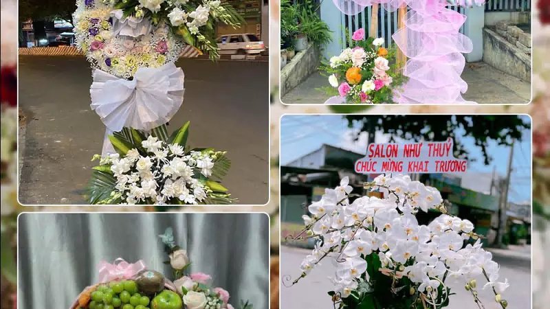 Shop Hoa Tươi Phường Bình Thới - Thành phố Hồ Chí Minh