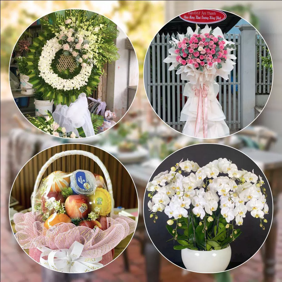 Mẫu hoa tươi cắm mới tại shop hoa Phường Bình Thới