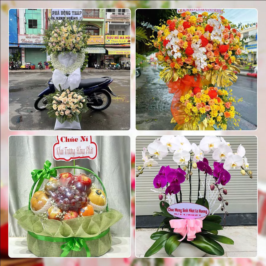 Mẫu hoa tươi cắm mới tại shop hoa Phường Tây Hồ