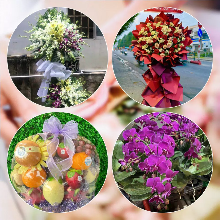 Shop Hoa Tươi Phường Định Công - Thành phố Hà Nội