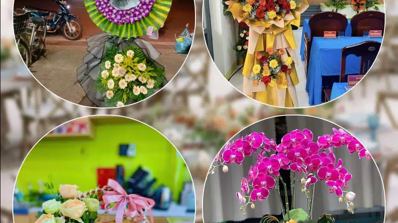 Shop Hoa Tươi Phường Diên Hồng - Thành phố Hồ Chí Minh