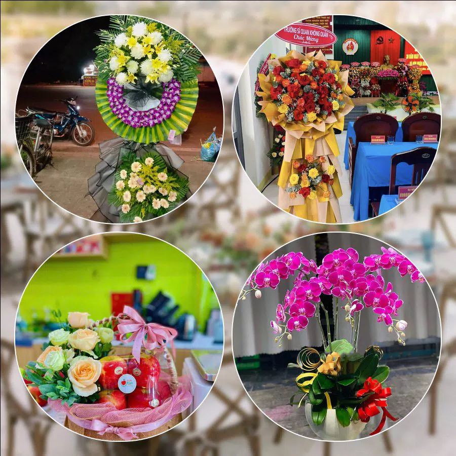Shop Hoa Tươi Phường Diên Hồng - Thành phố Hồ Chí Minh