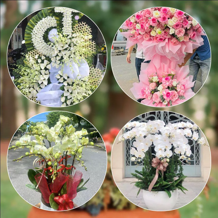 Mẫu hoa tươi cắm mới tại shop hoa Phường Long Bình