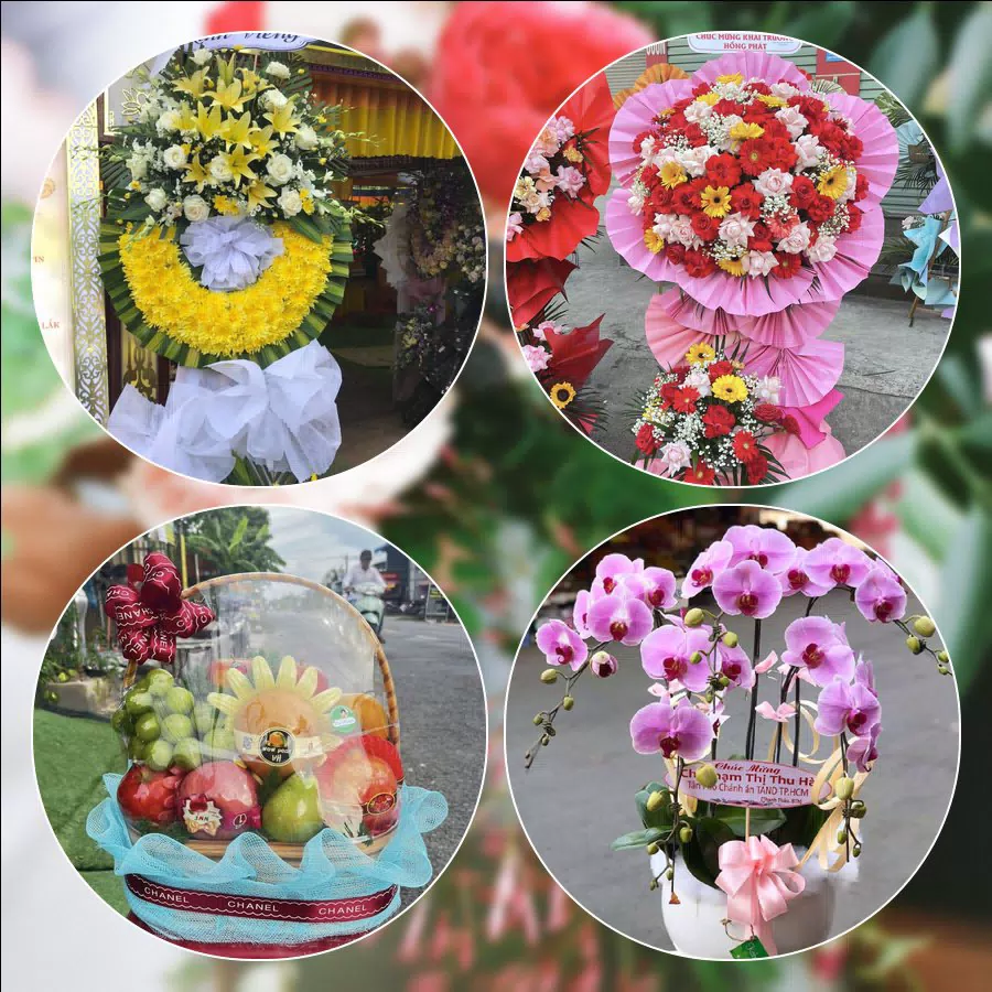 Shop Hoa Tươi Phường Tân An - Thành phố Cần Thơ