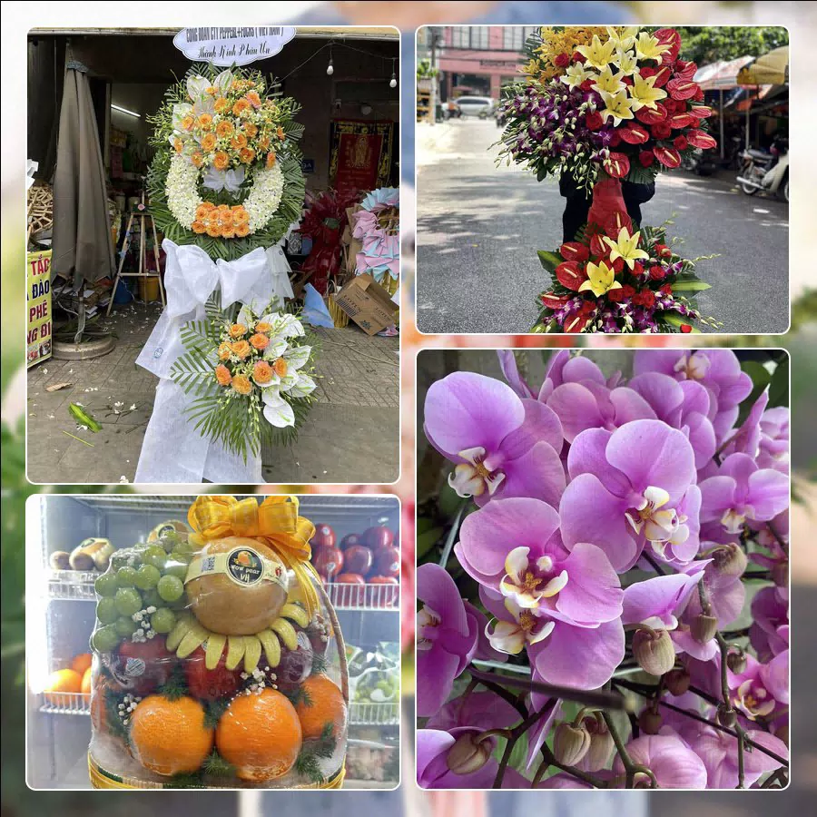Shop Hoa Tươi Phường An Khê - Thành phố Đà Nẵng