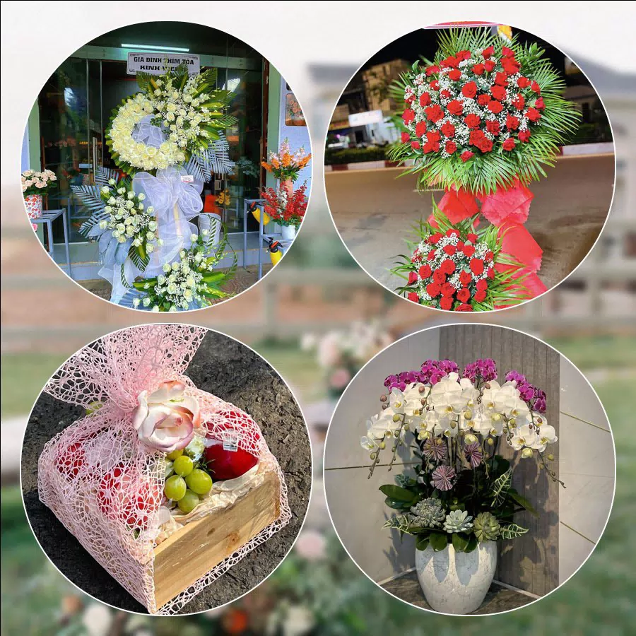 Mẫu hoa tươi cắm mới tại shop hoa Phường An Khê