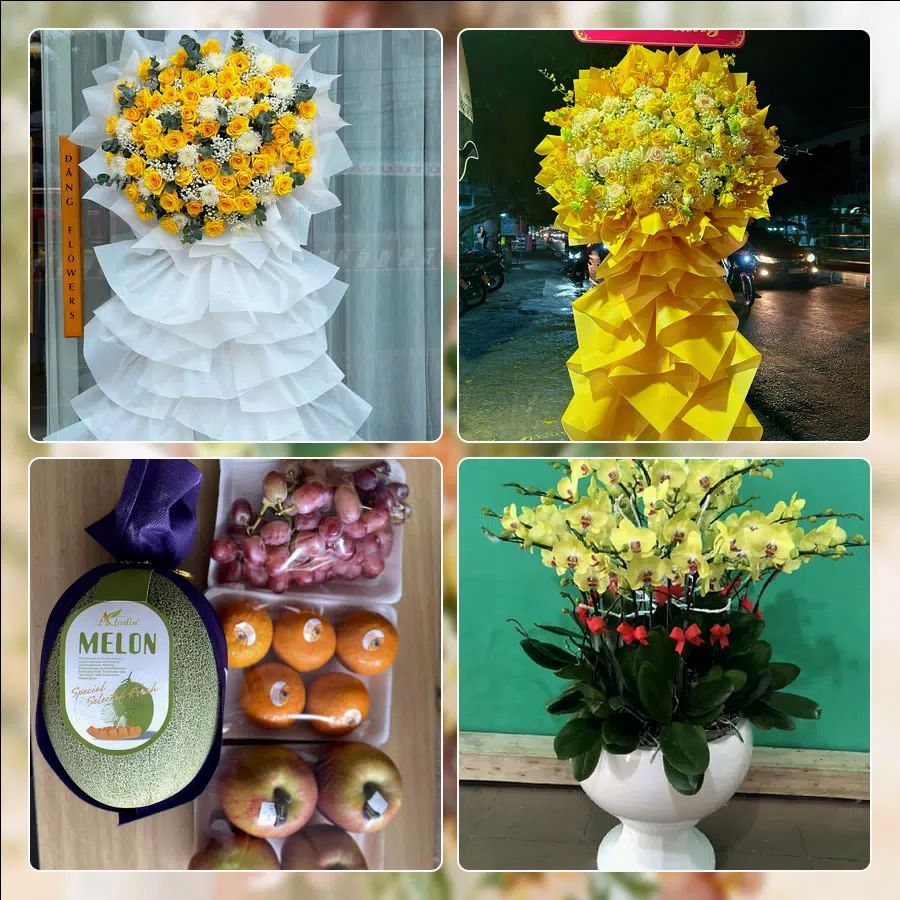 Shop Hoa Tươi Phường Bình Phú - Thành phố Hồ Chí Minh
