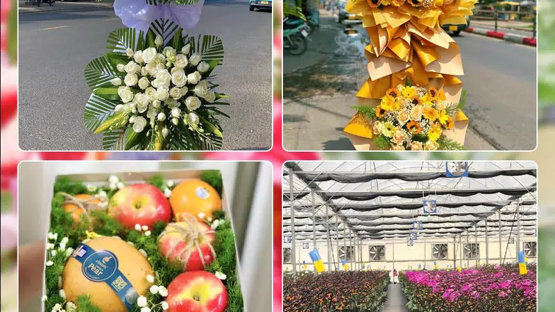 Shop Hoa Tươi Phường An Hải - Thành phố Đà Nẵng