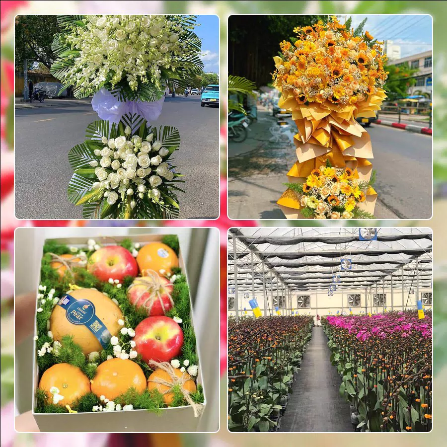 Shop Hoa Tươi Phường An Hải - Thành phố Đà Nẵng