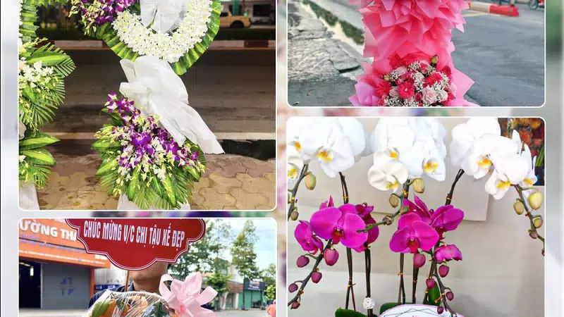 Shop Hoa Tươi Phường Bến Thành - Thành phố Hồ Chí Minh