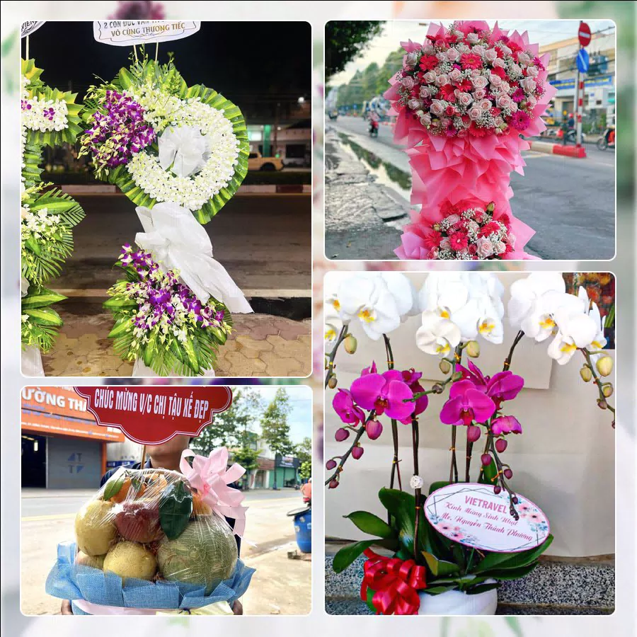 Shop Hoa Tươi Phường Bến Thành - Thành phố Hồ Chí Minh