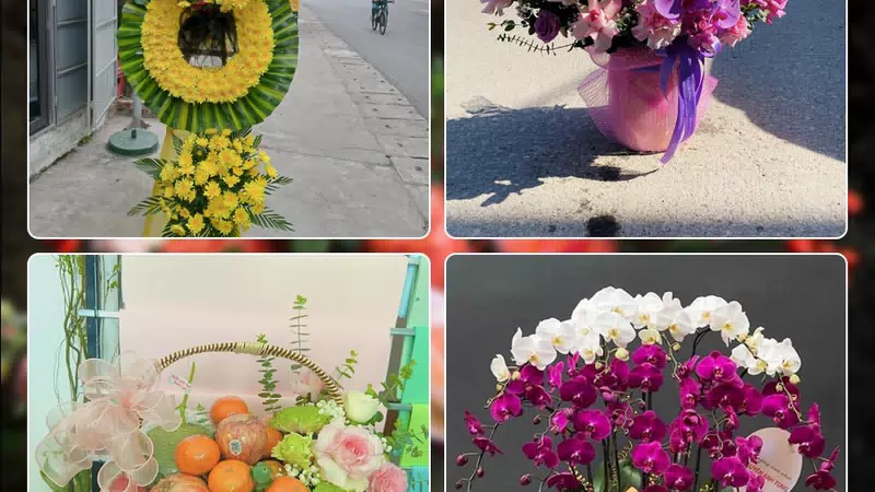 Shop Hoa Tươi Phường Hòa Bình - Thành phố Hồ Chí Minh