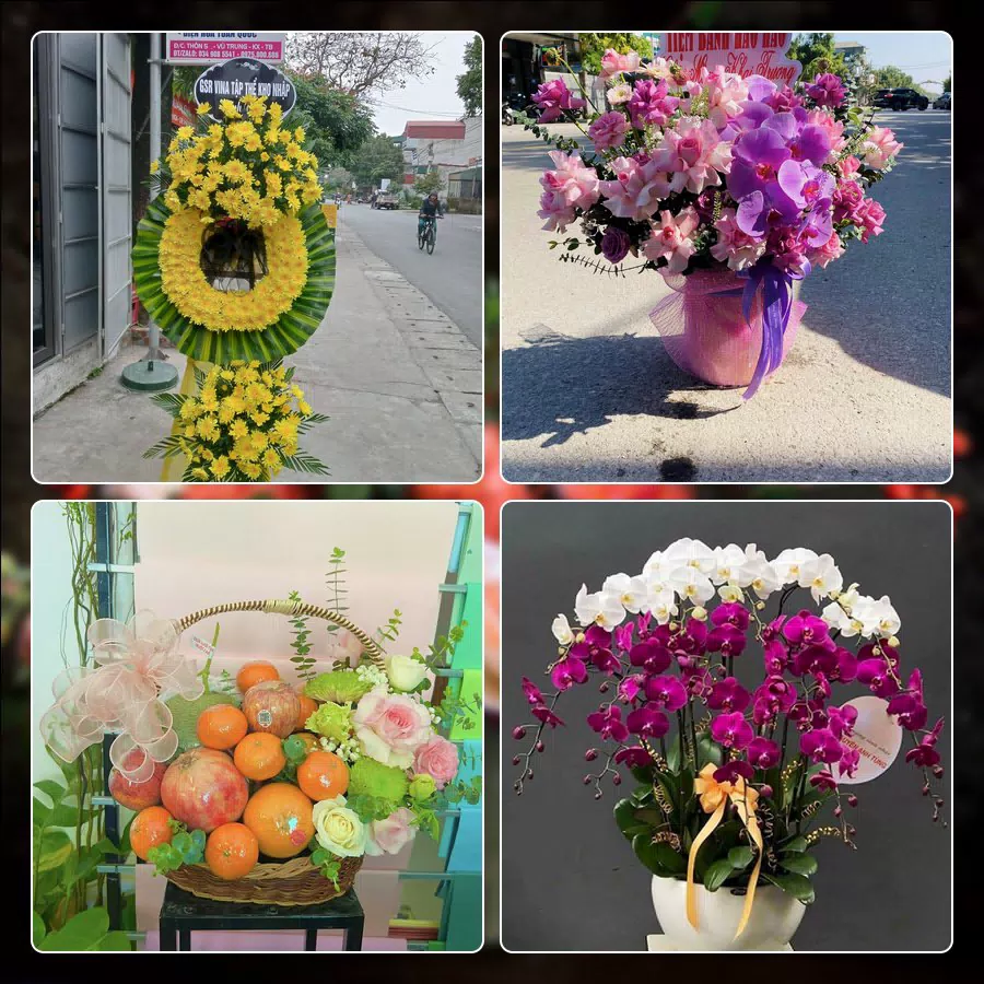 Shop Hoa Tươi Phường Hòa Bình - Thành phố Hồ Chí Minh
