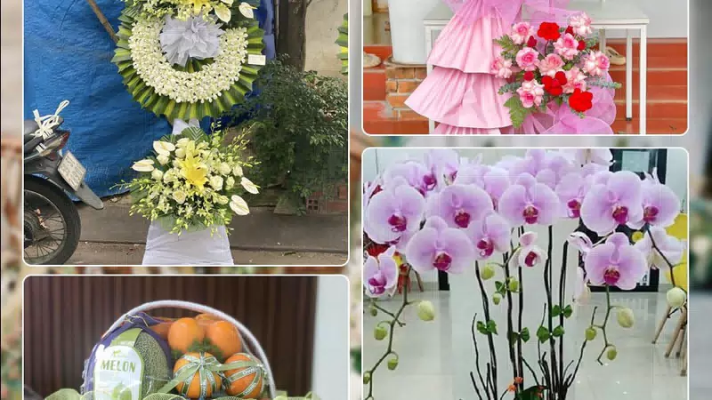 Shop Hoa Tươi Phường Đông Ngạc - Thành phố Hà Nội