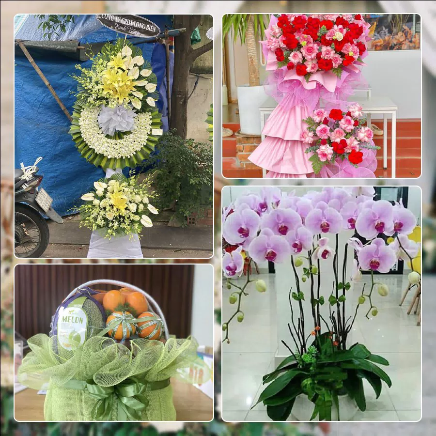 Shop Hoa Tươi Phường Đông Ngạc - Thành phố Hà Nội