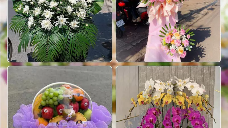 Shop Hoa Tươi Phường Ô Chợ Dừa - Thành phố Hà Nội
