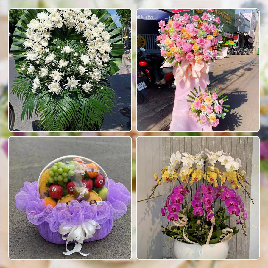 Shop Hoa Tươi Phường Ô Chợ Dừa - Thành phố Hà Nội