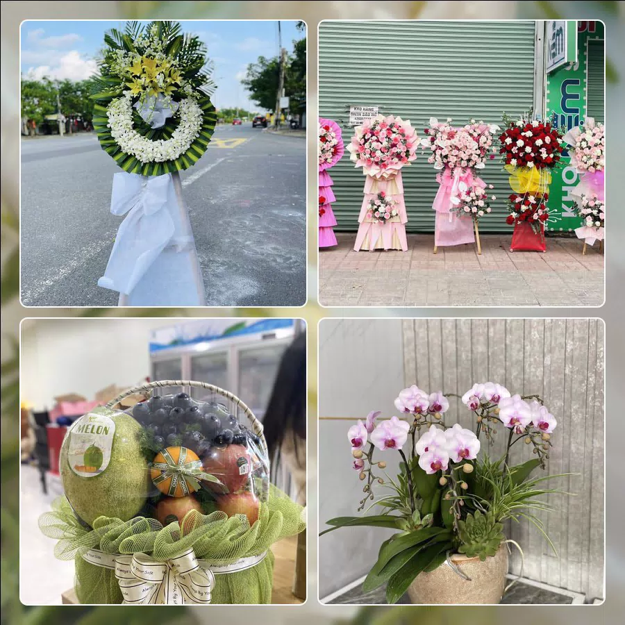 Mẫu hoa tươi cắm mới tại shop hoa Phường Phú Thuận