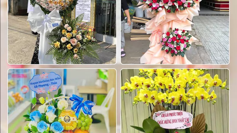 Shop Hoa Tươi Phường Thủ Dầu Một - Thành phố Hồ Chí Minh
