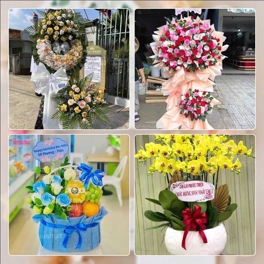 Shop Hoa Tươi Phường Thủ Dầu Một - Thành phố Hồ Chí Minh