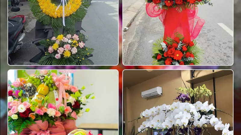 Shop Hoa Tươi Phường Đức Nhuận - Thành phố Hồ Chí Minh