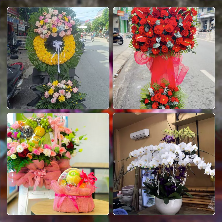 Shop Hoa Tươi Phường Đức Nhuận - Thành phố Hồ Chí Minh