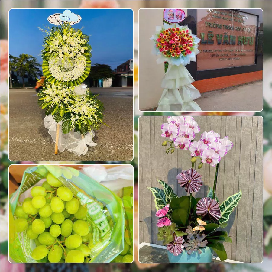 Mẫu hoa tươi cắm mới tại shop hoa Phường Đức Nhuận