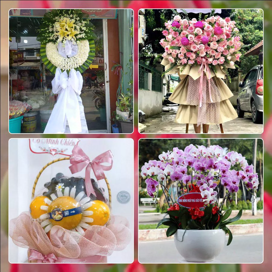 Shop Hoa Tươi Phường Phú Nhuận - Thành phố Hồ Chí Minh