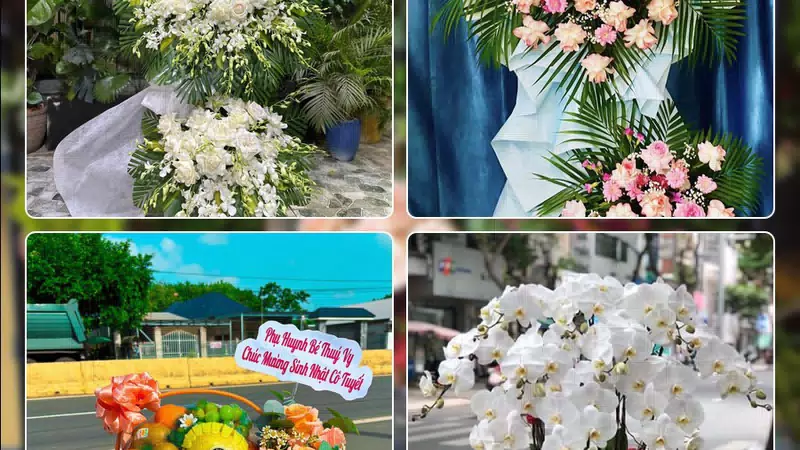 Shop Hoa Tươi Phường Tây Thạnh - Thành phố Hồ Chí Minh