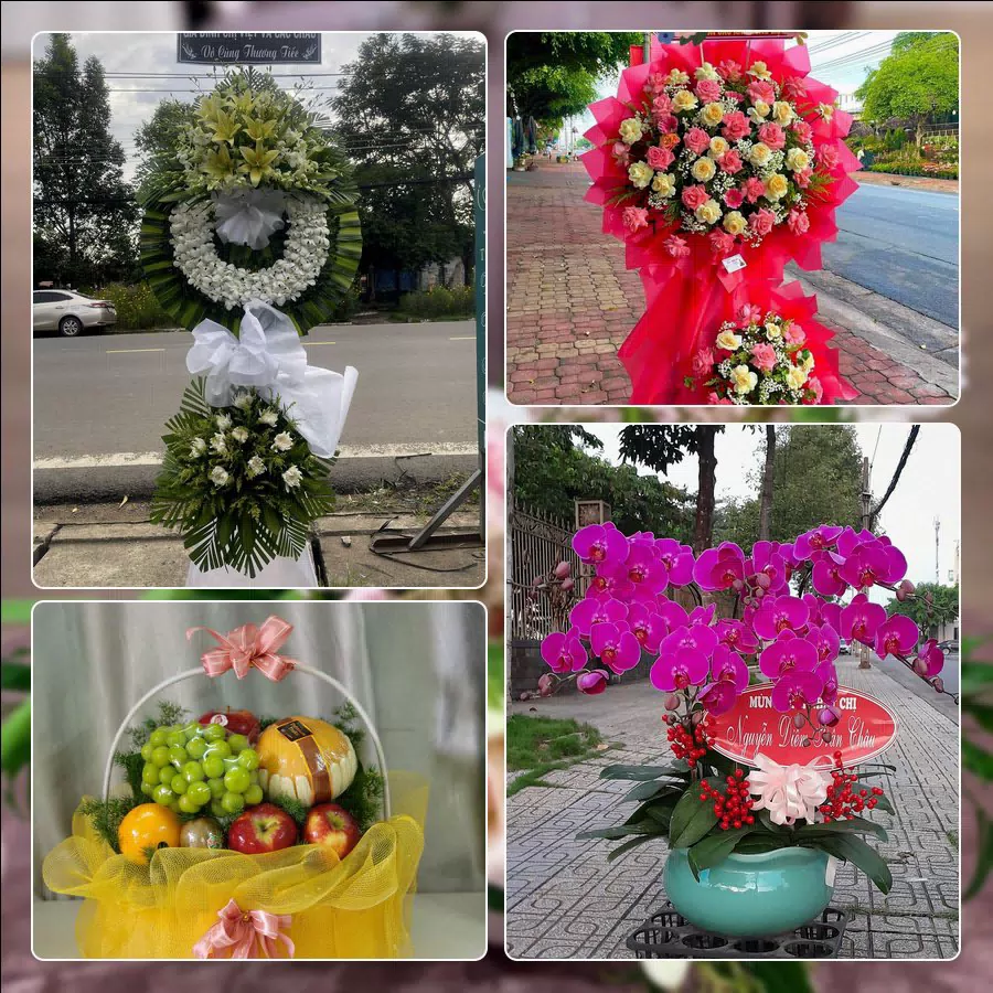 Mẫu hoa tươi ThuyHoaTuoi.Com tại Ngũ Hành Sơn