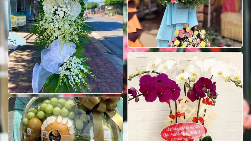 Shop Hoa Tươi Phường Phú Diễn - Thành phố Hà Nội