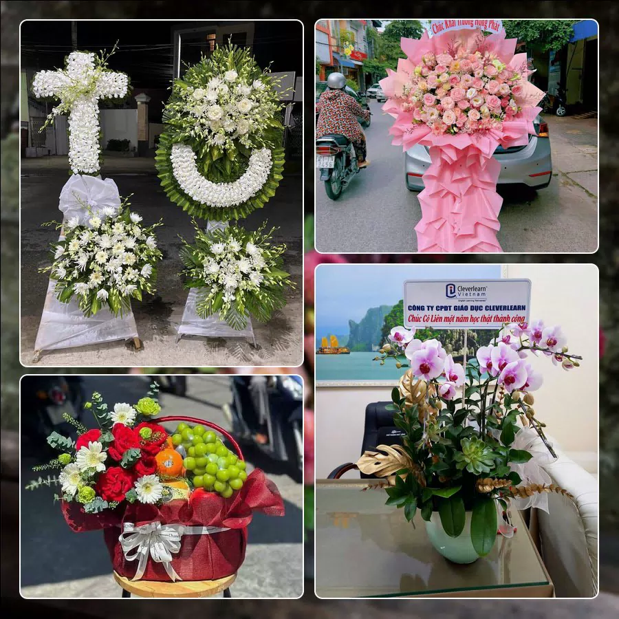 Shop Hoa Tươi Phường Phú Diễn - Thành phố Hà Nội