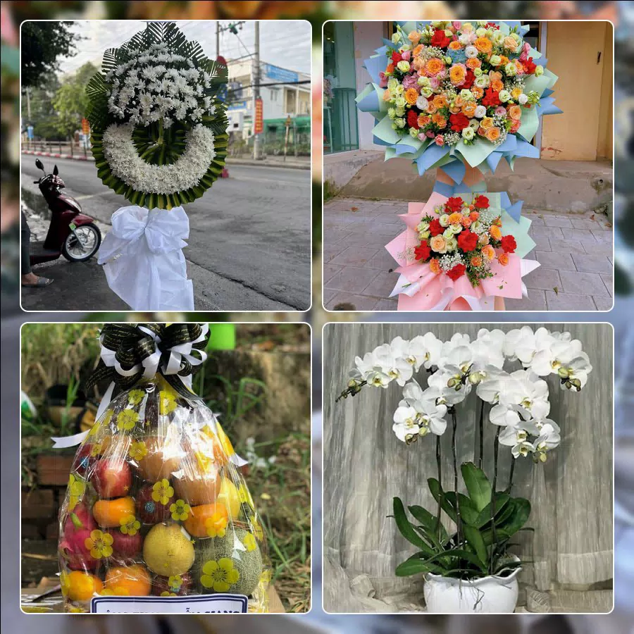 Shop Hoa Tươi Phường Phú Lợi - Thành phố Cần Thơ
