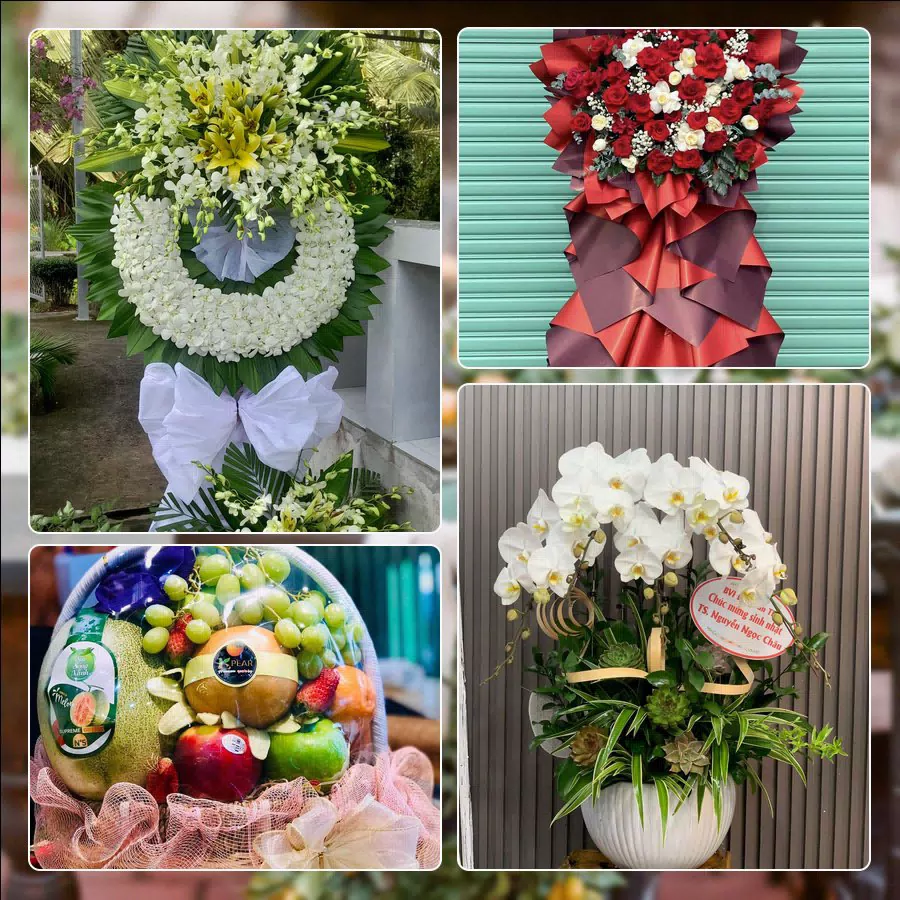 Shop Hoa Tươi Phường Phú Lợi - Thành phố Cần Thơ