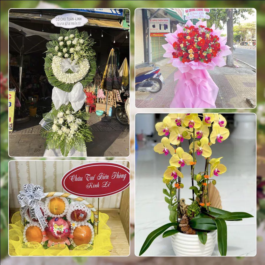 Shop Hoa Tươi Phường Hòa Khánh - Thành phố Đà Nẵng