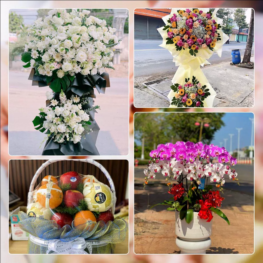 Shop Hoa Tươi Phường Hòa Khánh - Thành phố Đà Nẵng
