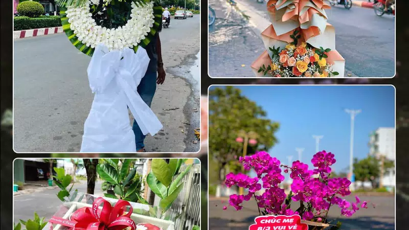 Shop Hoa Tươi Phường Bình Tây - Thành phố Hồ Chí Minh