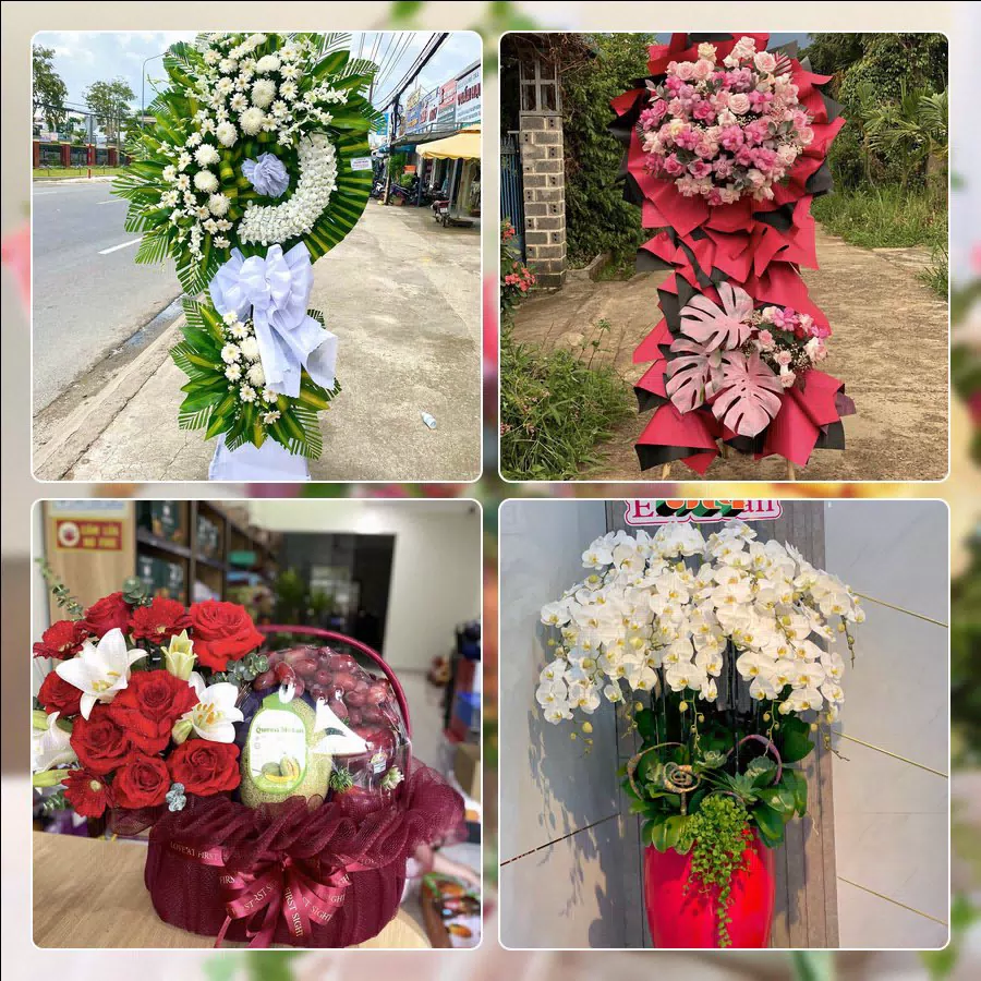 Shop Hoa Tươi Phường Cẩm Lệ - Thành phố Đà Nẵng