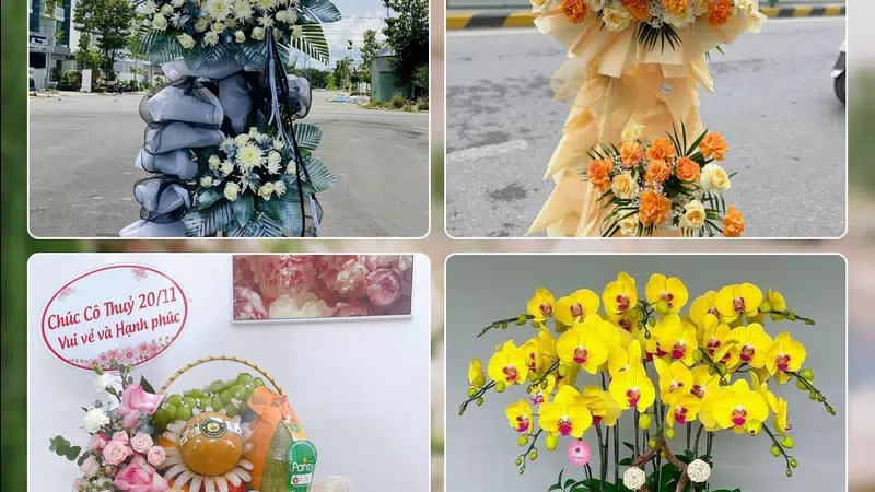 Shop Hoa Tươi Phường Chợ Quán - Thành phố Hồ Chí Minh
