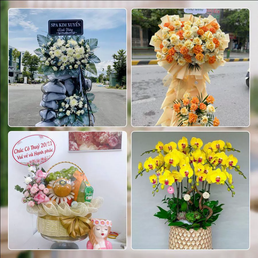 Shop Hoa Tươi Phường Chợ Quán - Thành phố Hồ Chí Minh