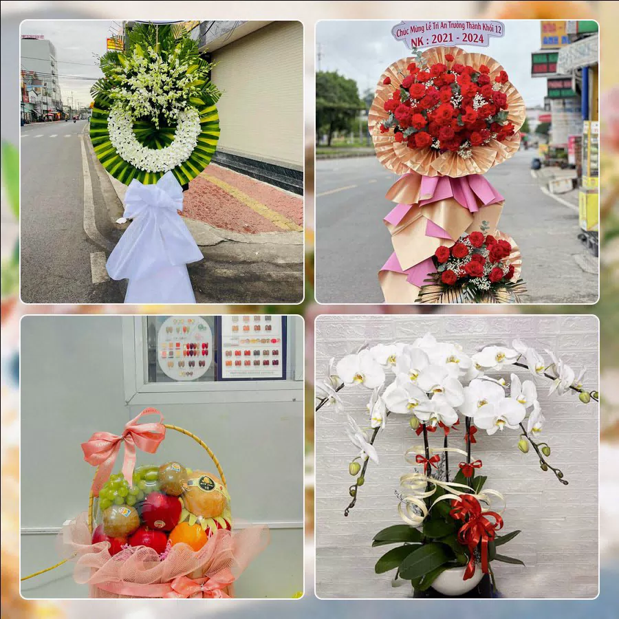 Shop Hoa Tươi Phường Hạc Thành - Tỉnh Thanh Hóa