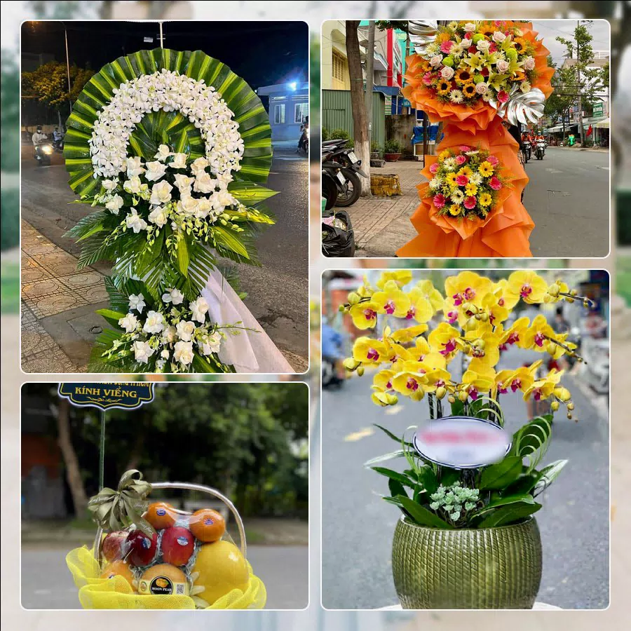 Shop Hoa Tươi Phường Hạc Thành - Tỉnh Thanh Hóa