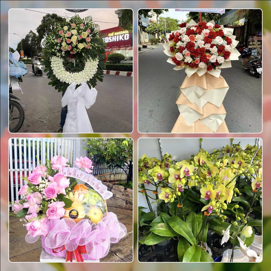 Shop Hoa Tươi Phường Tam Hiệp - Tỉnh Đồng Nai