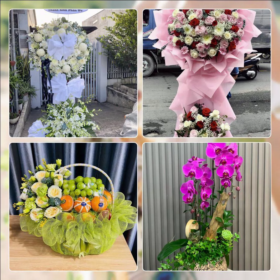 Shop Hoa Tươi Phường Hải An - Thành phố Hải Phòng