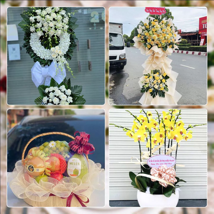 Shop Hoa Tươi Phường An Khánh - Thành phố Hồ Chí Minh