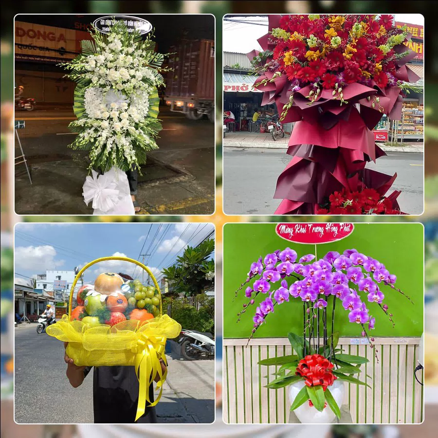 Shop Hoa Tươi Phường Ba Đình - Thành phố Hà Nội